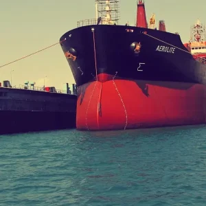 ضد خزه باژاک