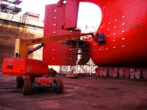 ضد خزه باژاک