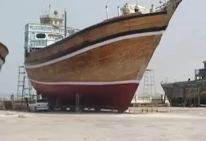 ضد خزه باژاک