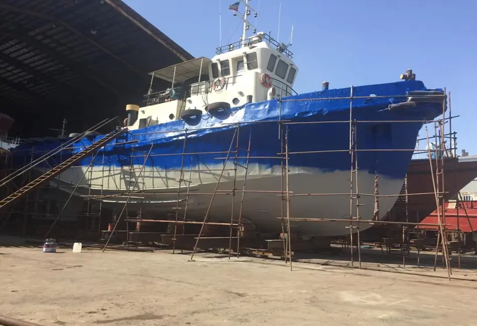 خرید عمده رنگ دریایی باژاک