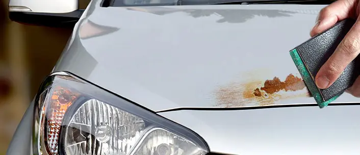 مزایای رنگ تخصصی باژاک